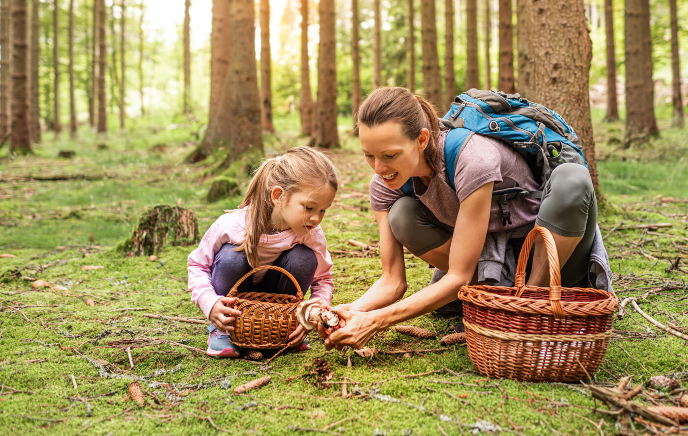 Mutter und Tochter sammeln im Wald Pilze